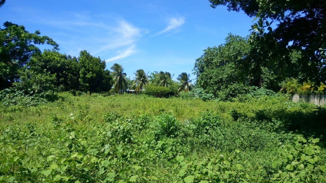 CB-001 Residential lot for sale In Cabarete Dominican Republic