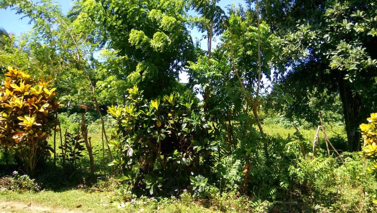 CB-001 Residential lot for sale In Cabarete Dominican Republic - Miniatura 5