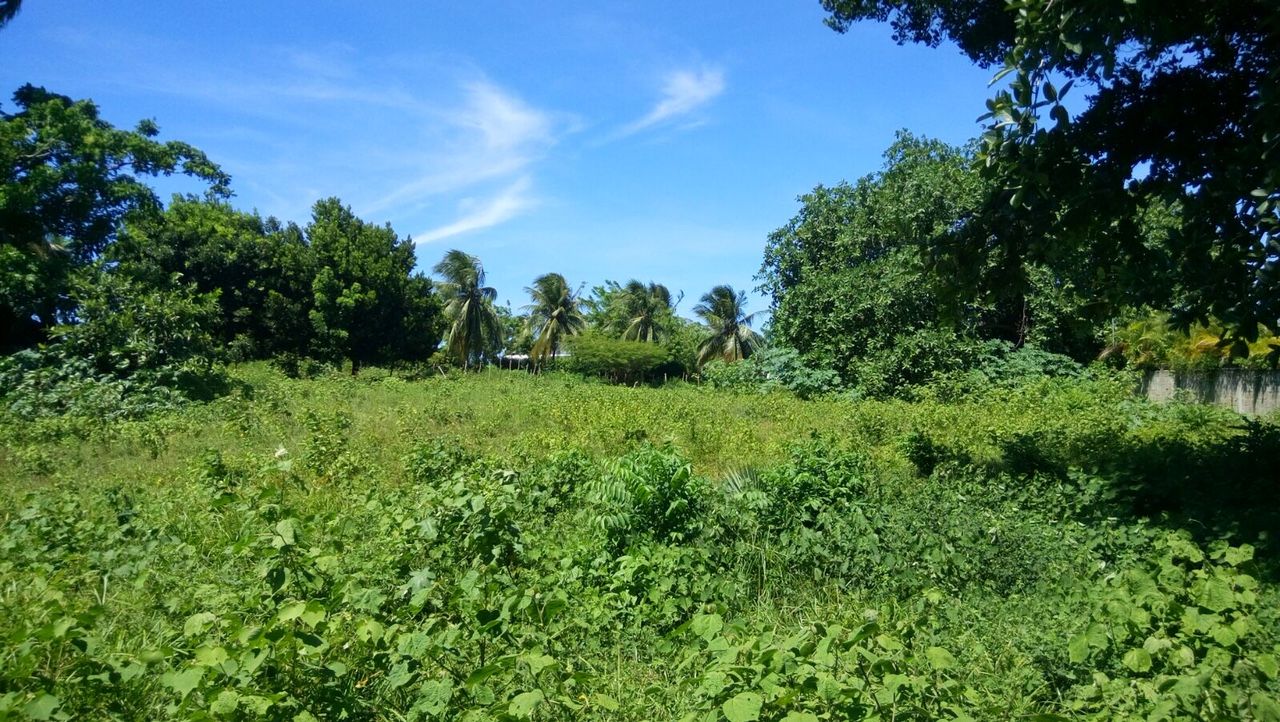 CB-001 Residential lot for sale In Cabarete Dominican Republic